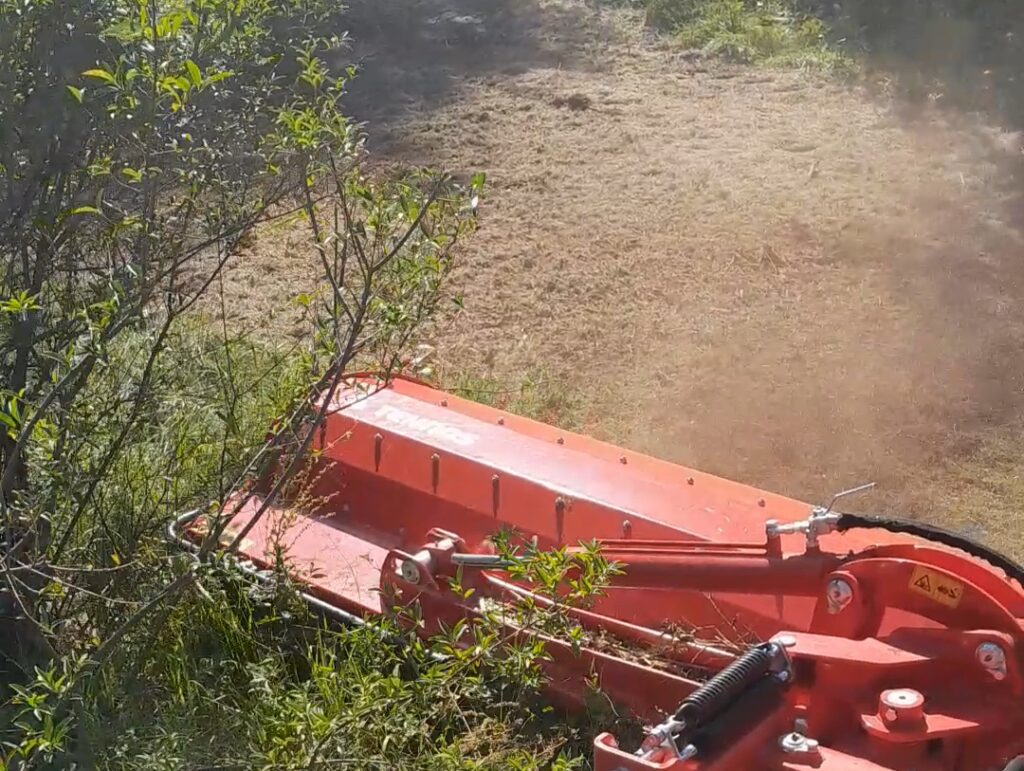 VideoCapture_20241215-221844